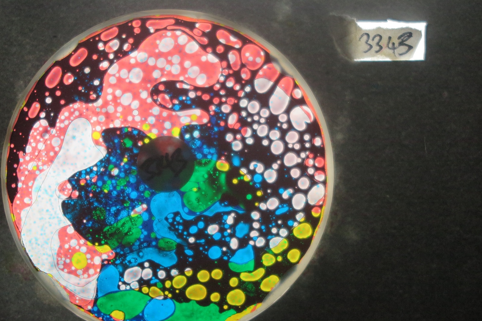 BV3343 bubble vision oil wheel